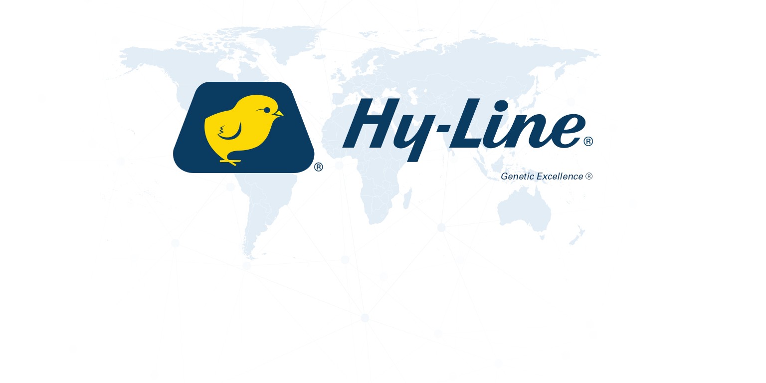 Hy-Line Hy-Line